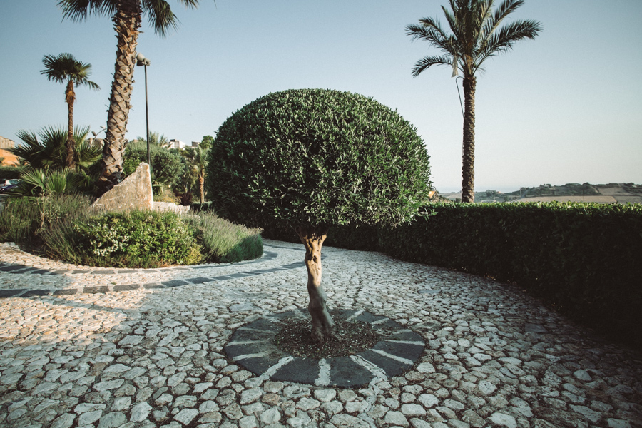 albero giardino mediteranneo del Parco Chiaramontano